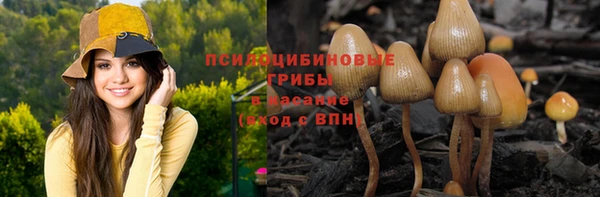 стафф Баксан