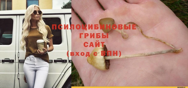 стафф Баксан