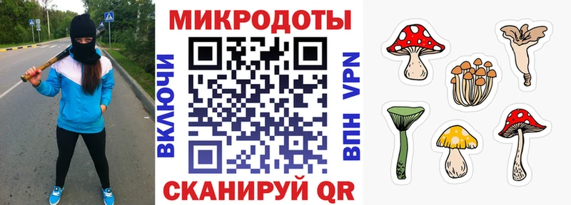 Псилоцибиновые грибы Cubensis  Купить  Рубцовск 